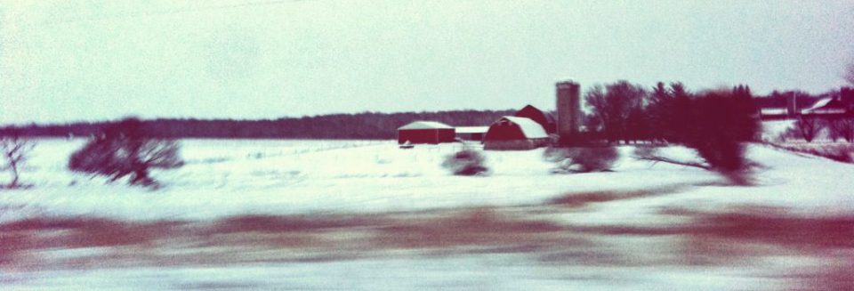 Election: The Aftermath