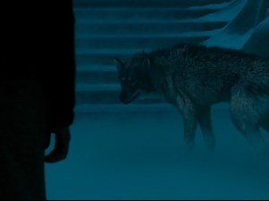 narnia wolf