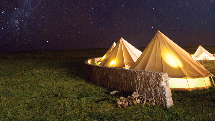 “They Slept Under a Tree…”