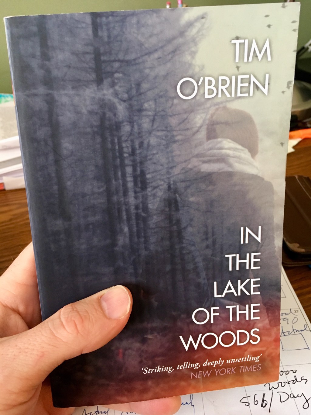 In the Lake of the Woods by Tim&nbsp;O’Brien