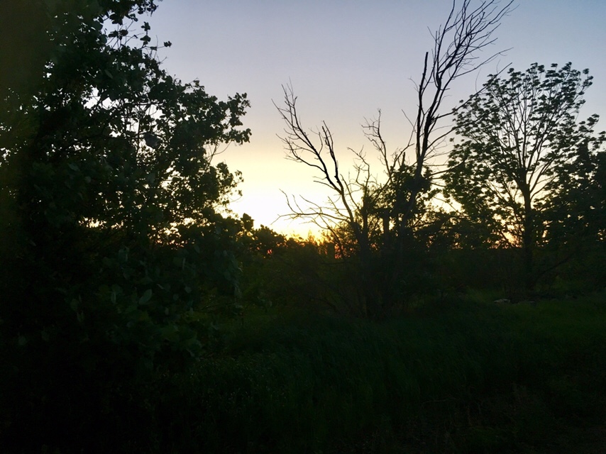 Late to Dinner: Simon&nbsp;Stålenhag