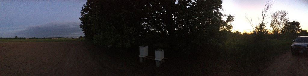 Kelly Link: 2018 MacArthur&nbsp;Fellow